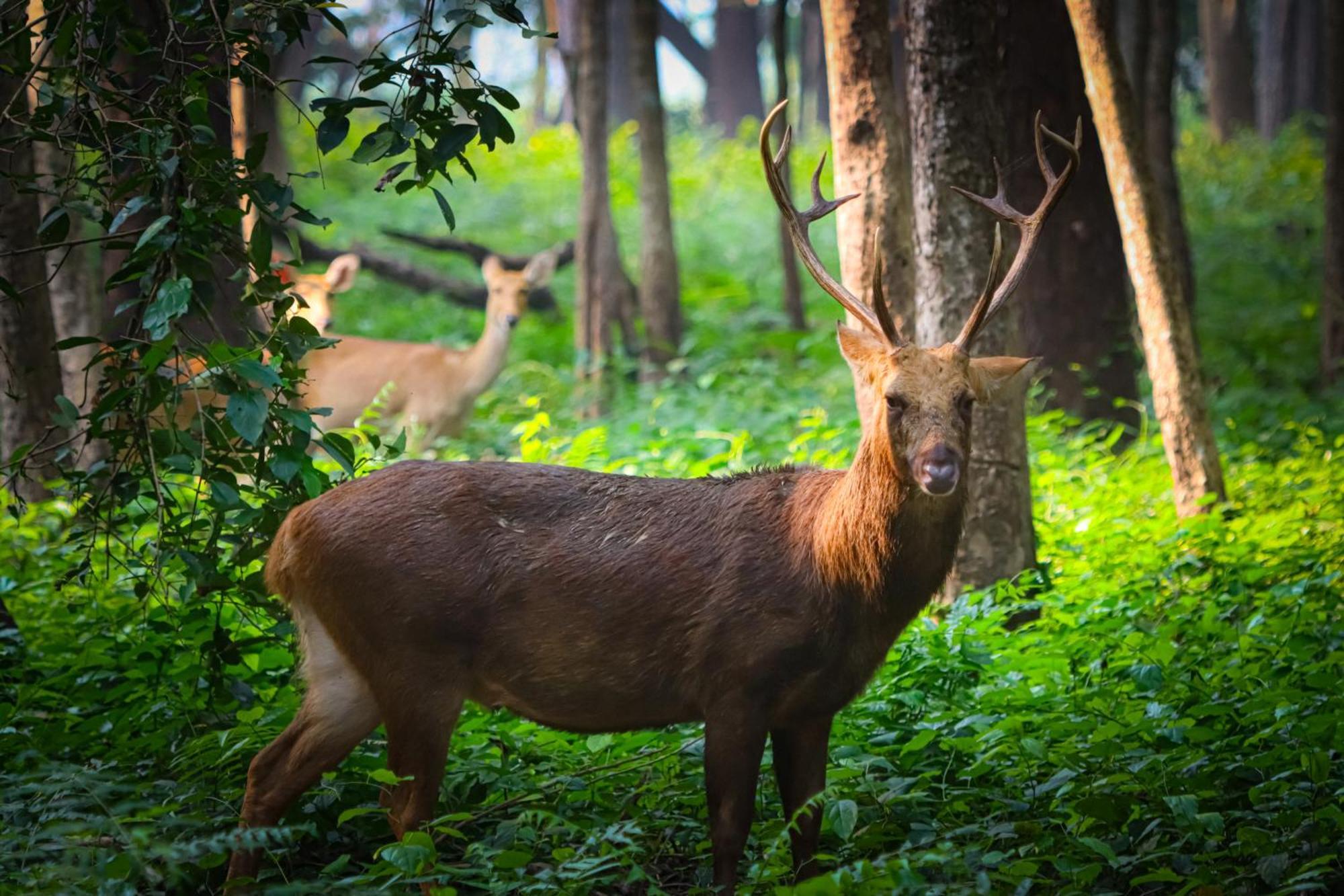 Mr. B'S Place Bardiya Ngoại thất bức ảnh